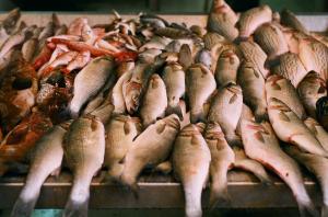 Administrators seek buyer for fish firm Aquila