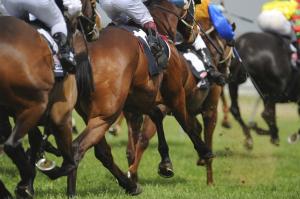 William Hill considers joint offer for Sportingbet