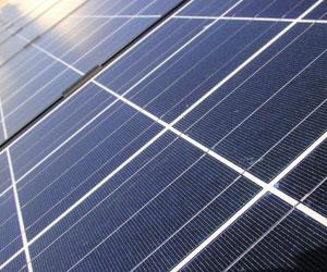 Solar firms in liquidation blame government cuts