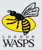 Administration on the cards for Wasps