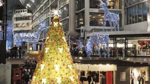 Christmas decoration firm Fuzzwire in administration