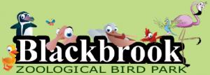 Blackbrook zoo for sale