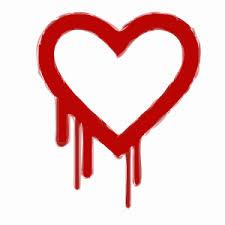 Heartbleed bug runs riot with online data
