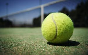 Tennis court firm Doe Sport appoints administrators ahead of sale