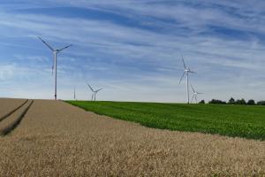 Gaia-Wind goes bust amid lack of Government support