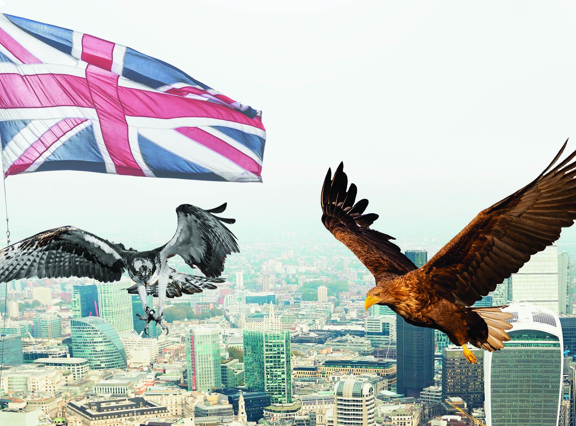 Foreign investors and buyers swooping on UK business assets