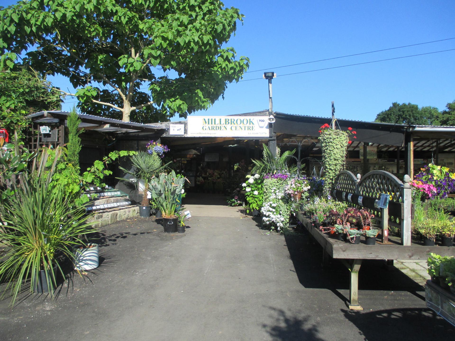South Wales garden centre put up for sale