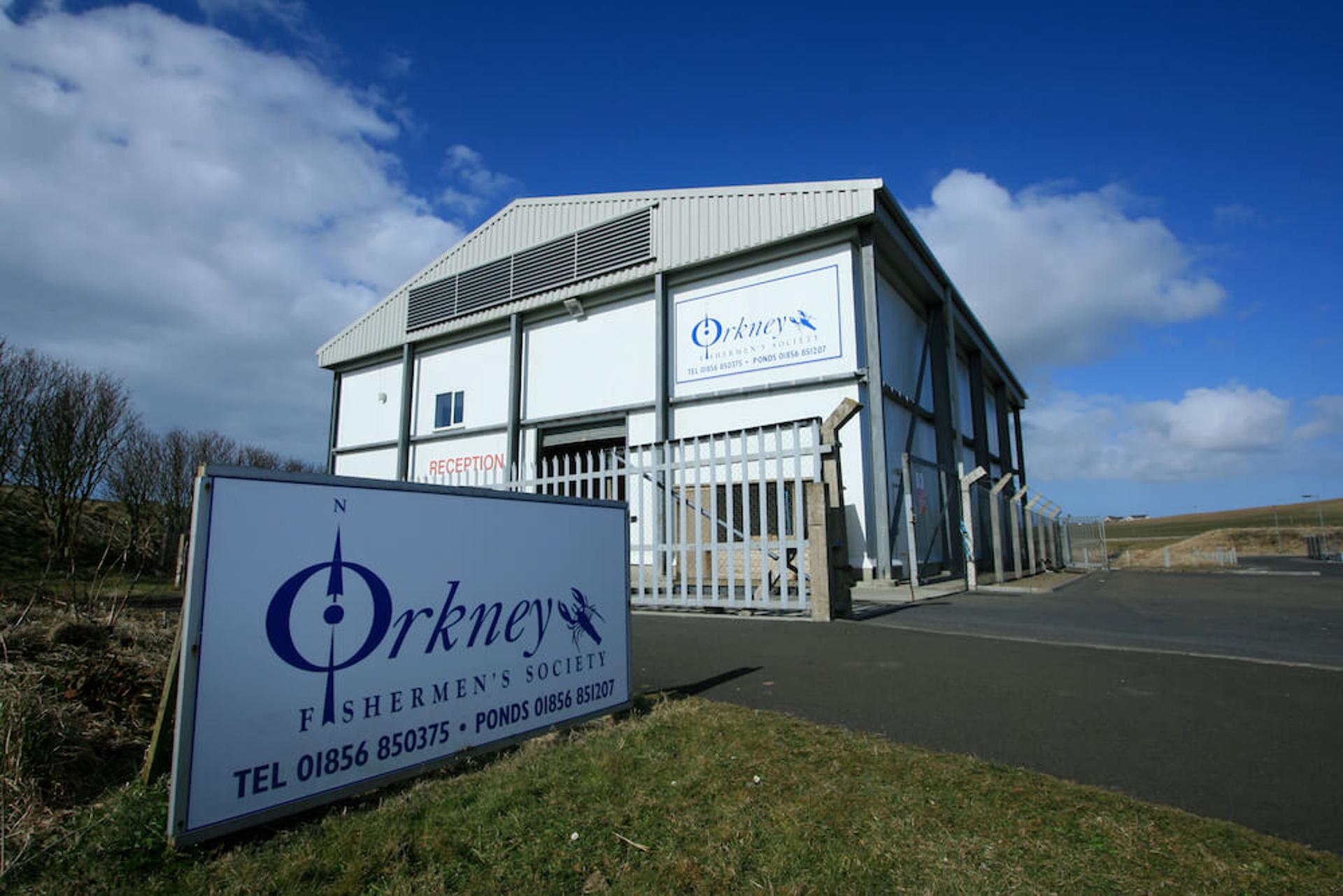 Orkney seafood co-operative acquired out of administration