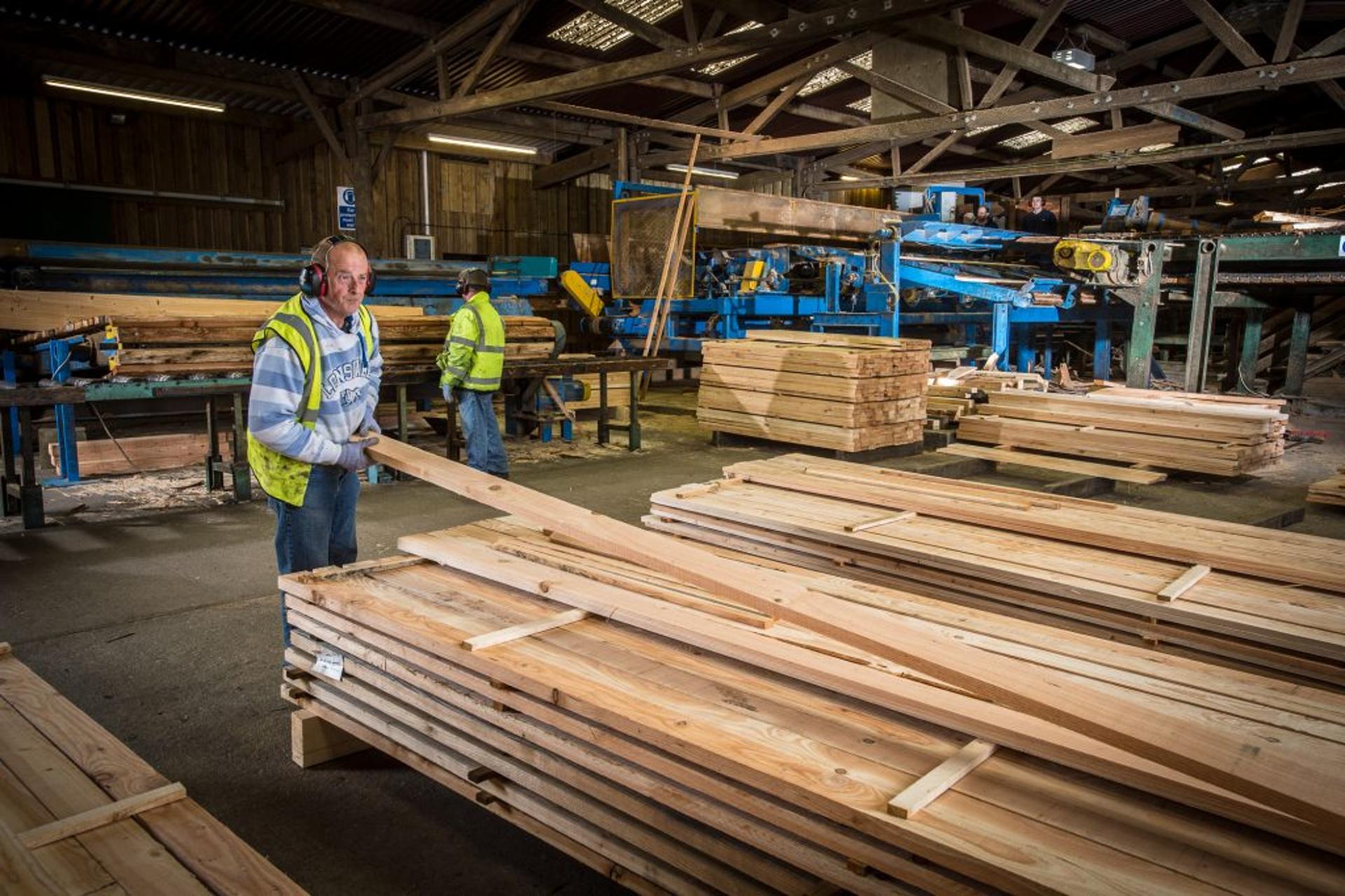 Timber firm targeting more deals after second acquisition in a month