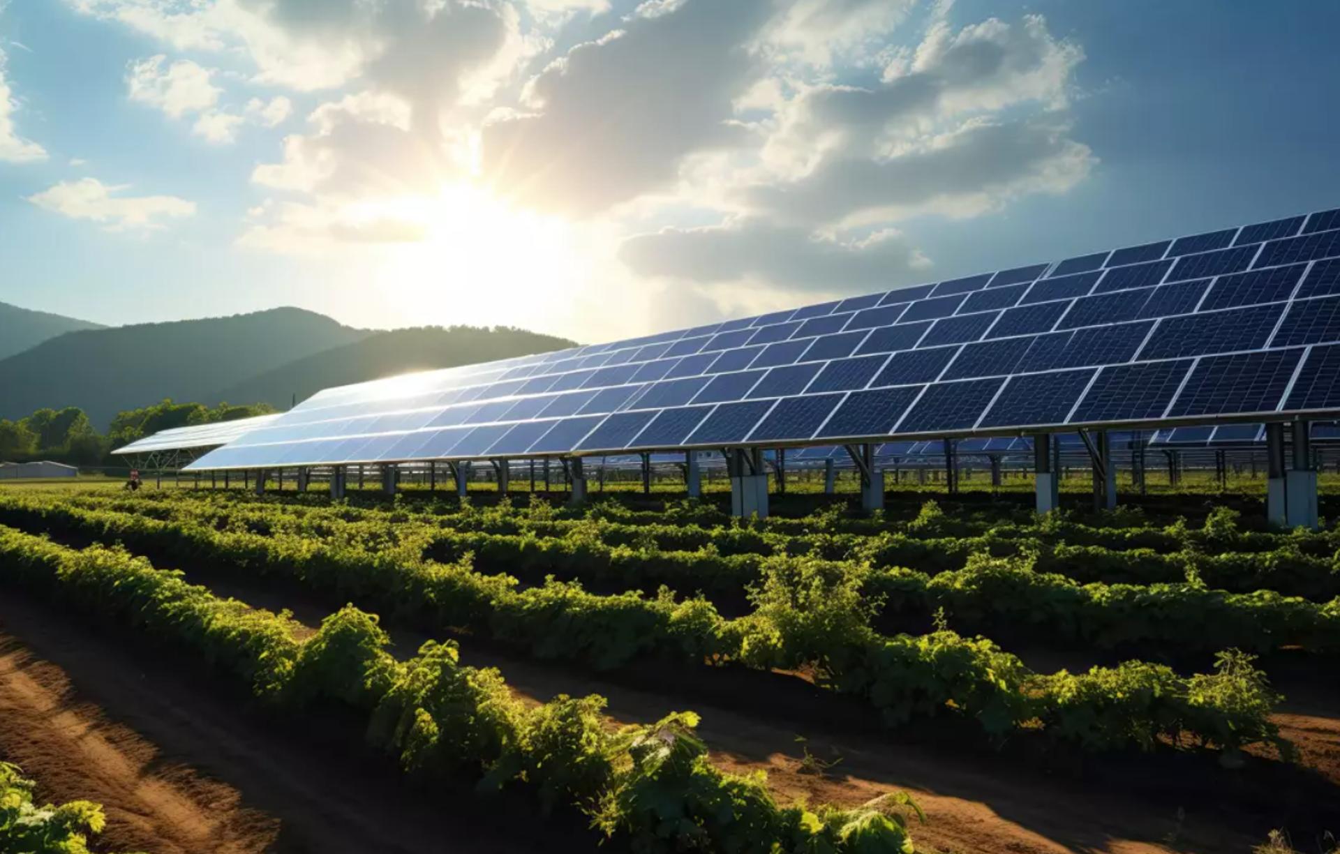 Administrators secure sale of solar farm portfolio