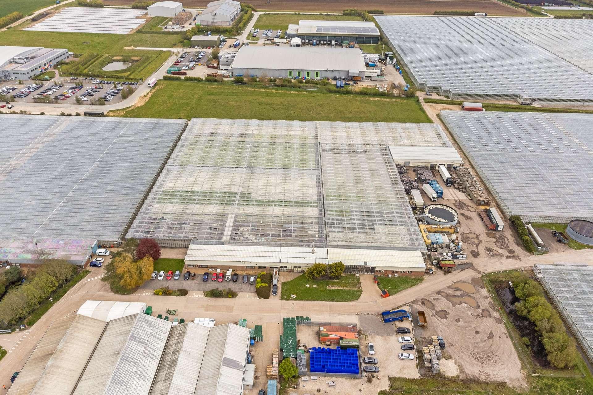 Chichester hydroponic nursery sold out of administration after 11 months