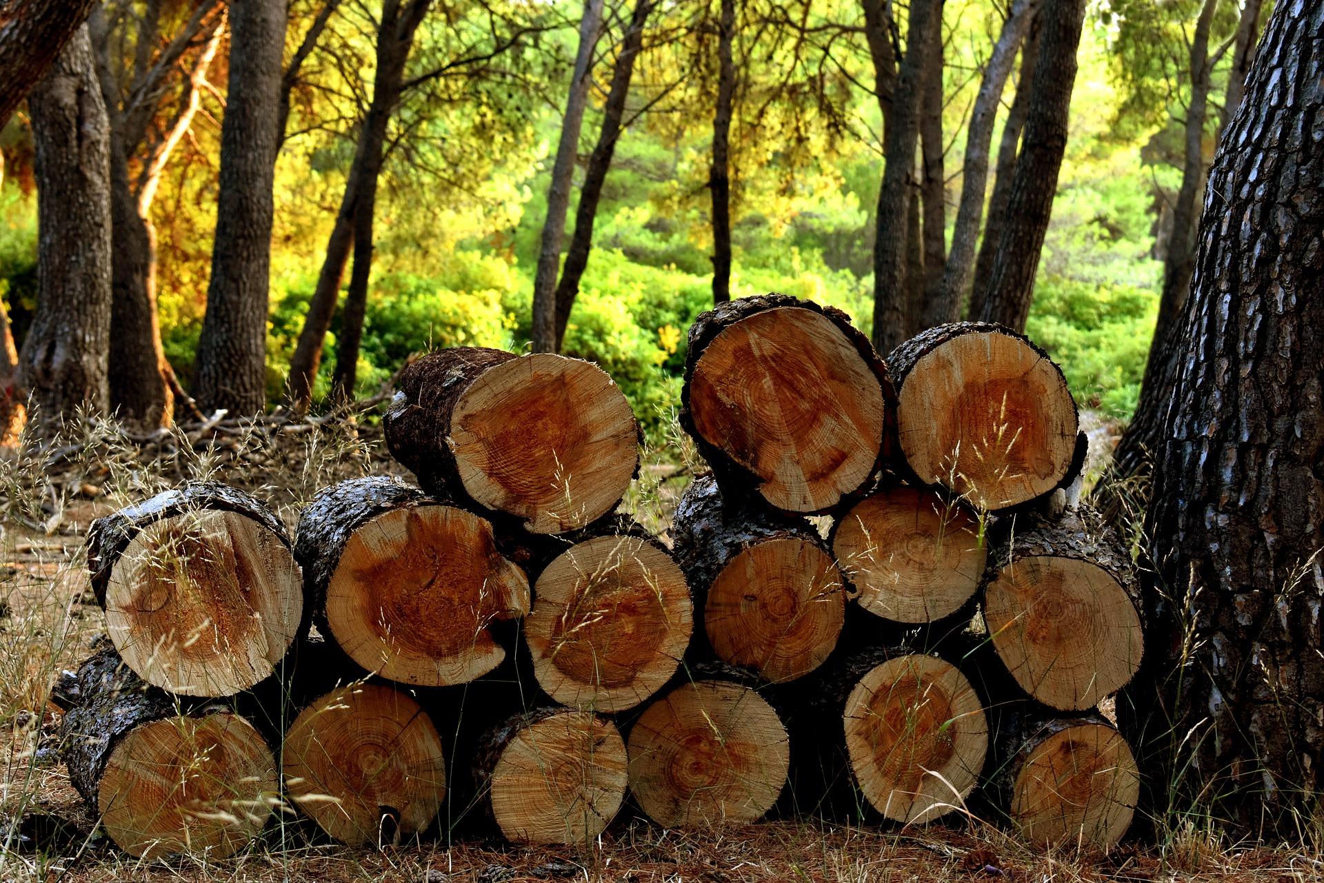 Timber groups merge to carve out new acquisitions