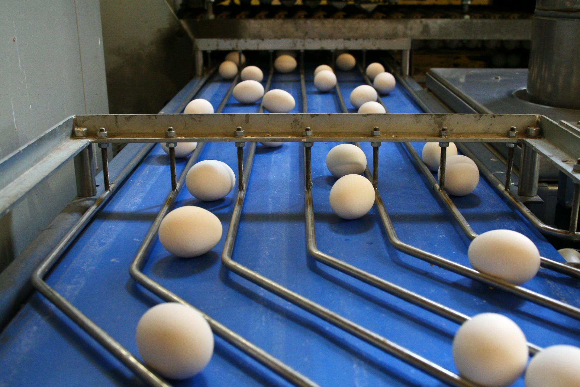 The Hardeman Egg Group acquires Worcestershire-based counterpart