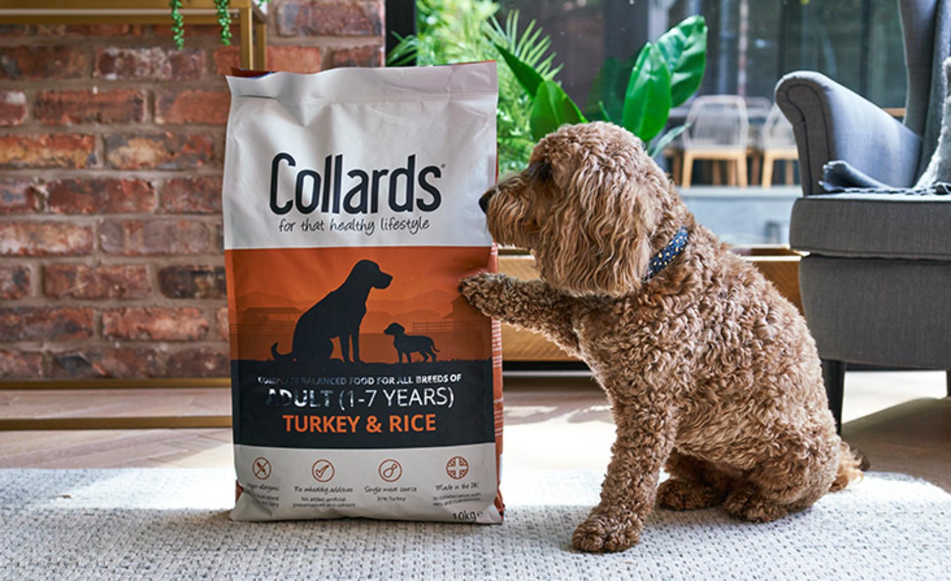 £37m-turnover pet food firm falls into administration