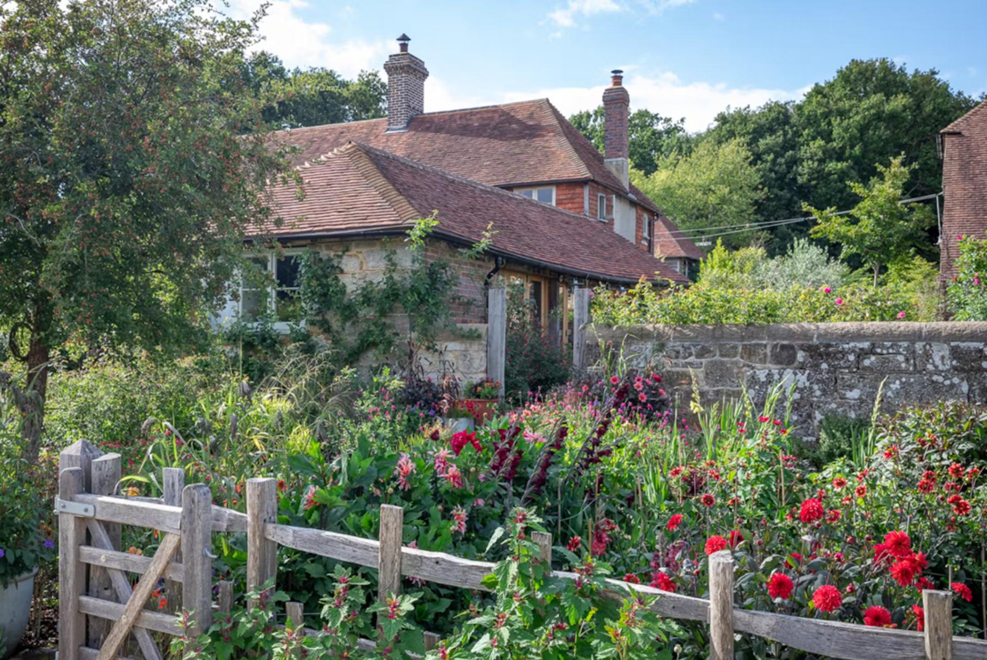 Major gardening brand rescued by co-founder in pre-pack deal