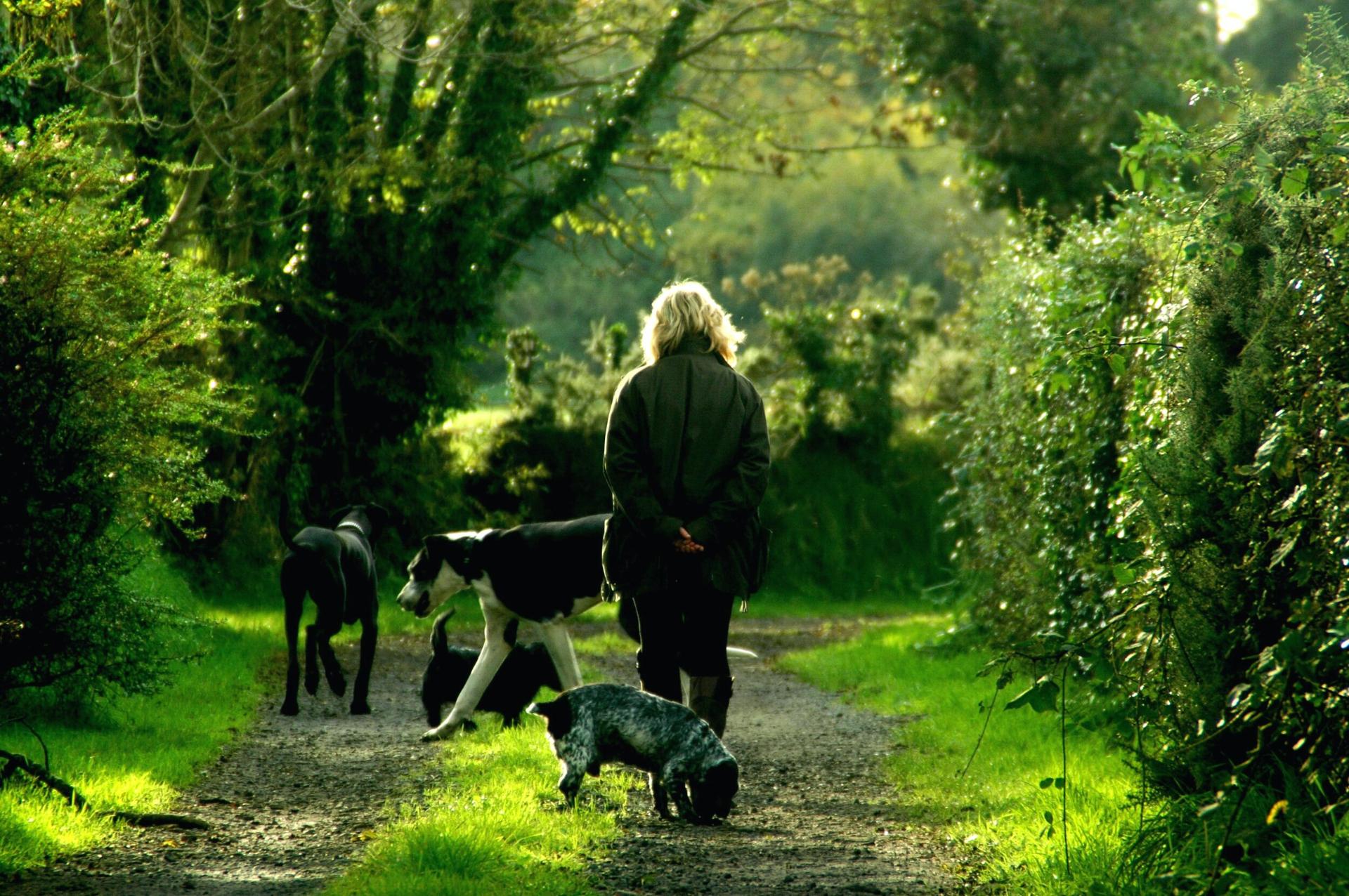 Premium pet food ingredients supplier acquired by investment firm