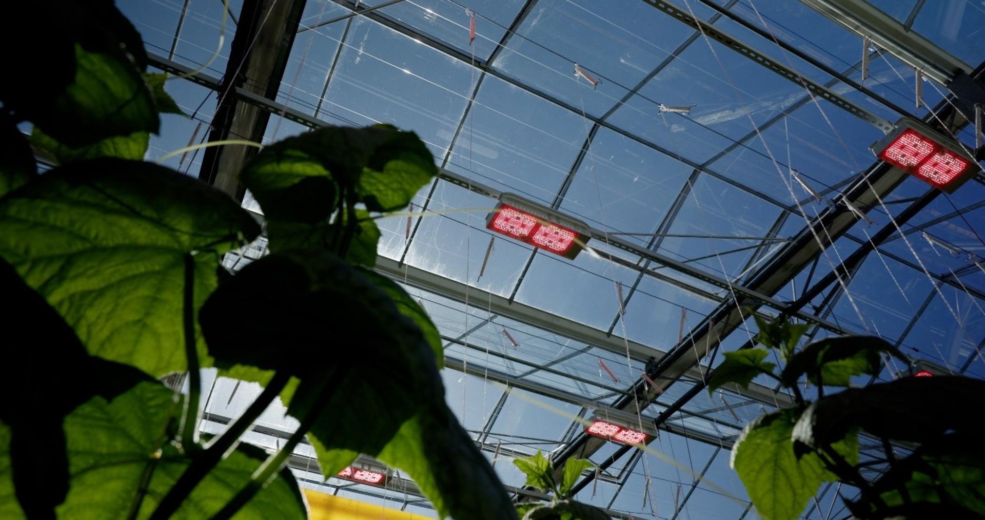 Agricultural tech firm announces double acquisition