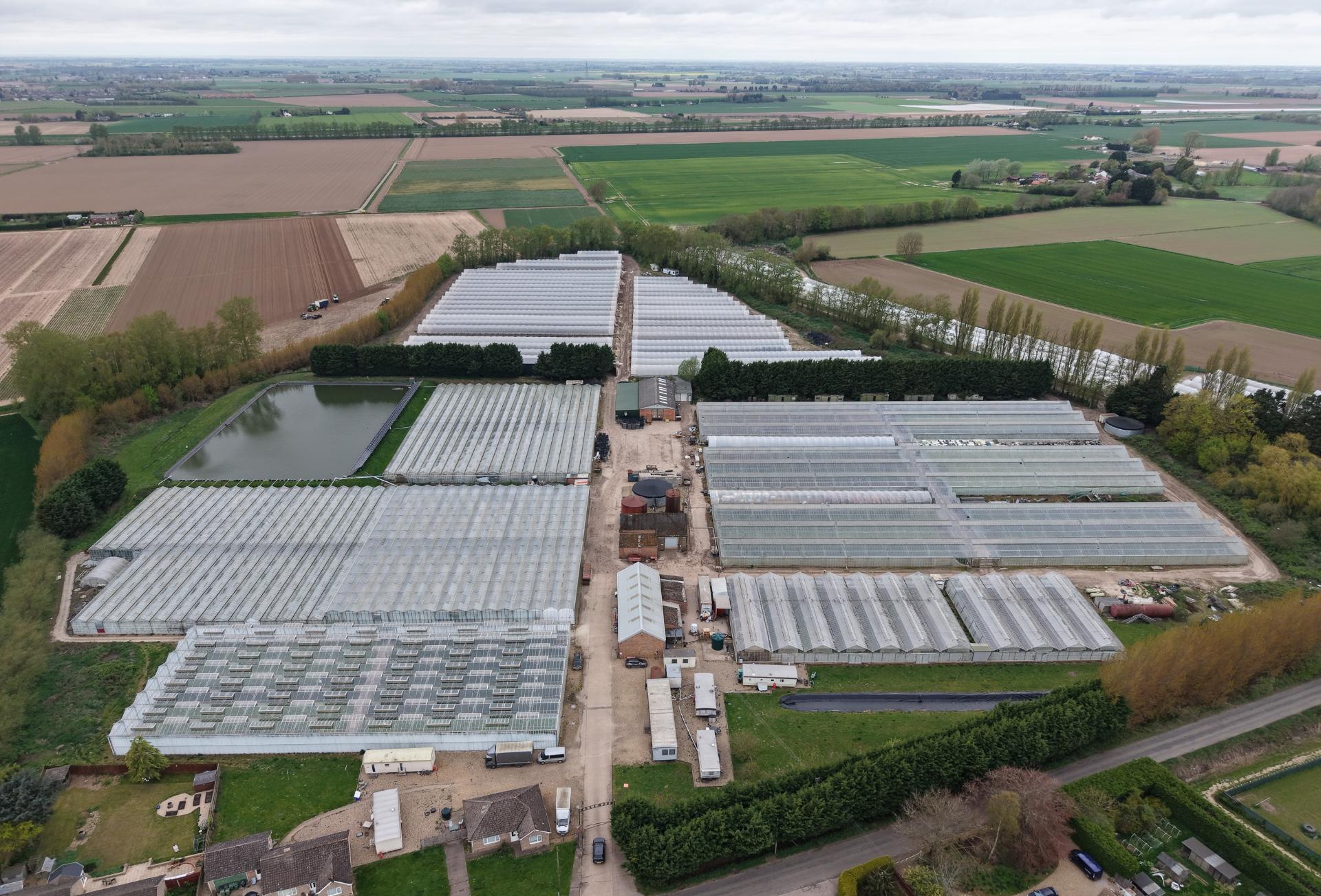 Rokewood administrators seek buyer for £1.4m Norfolk horticultural site