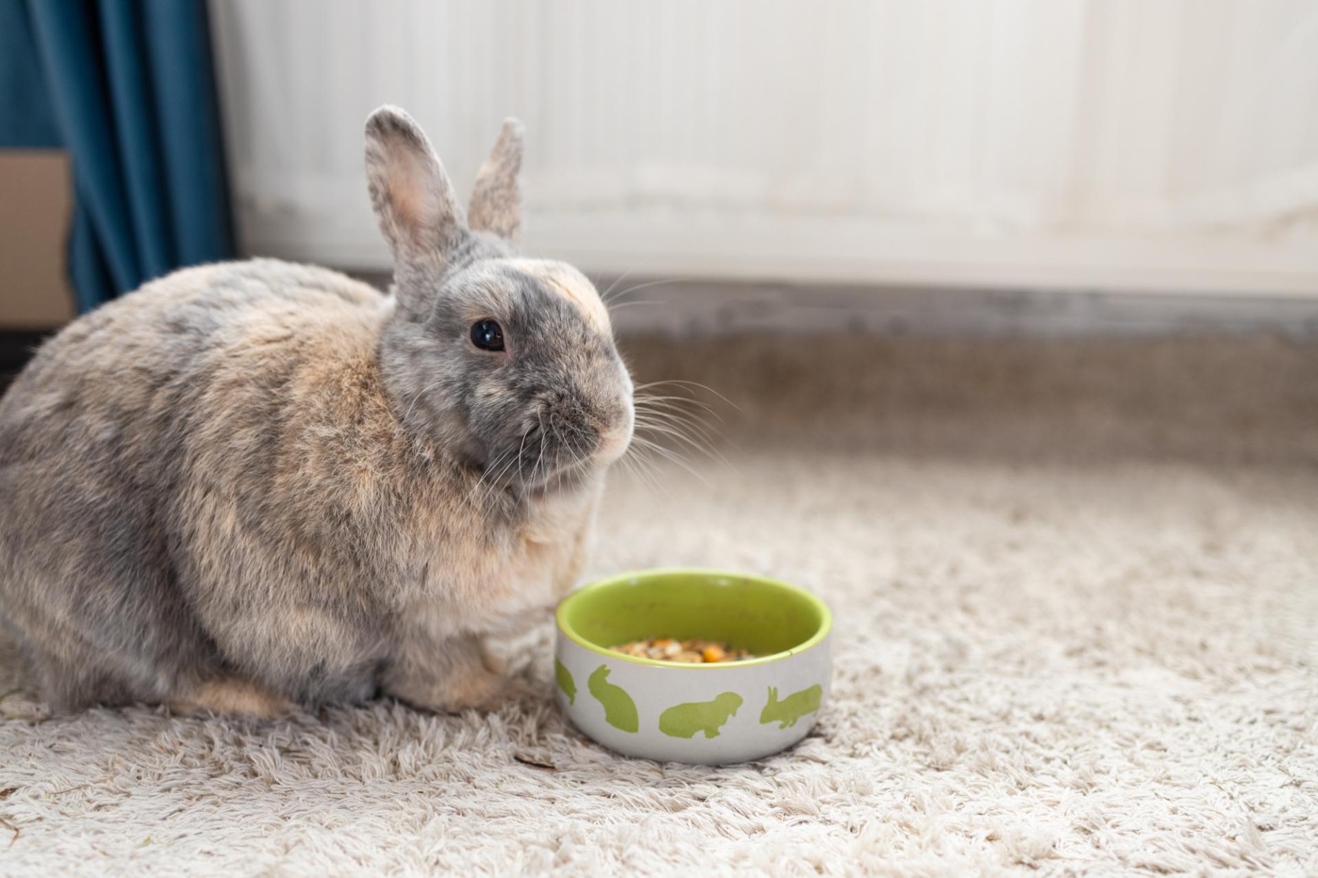 Yorkshire pet food manufacturer acquires German brand