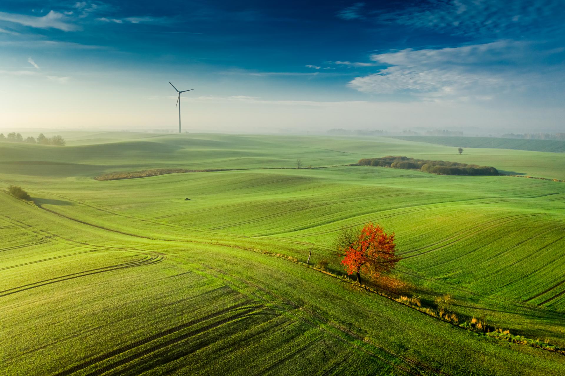 Acquisitive group swoops for specialist environmental consultancy