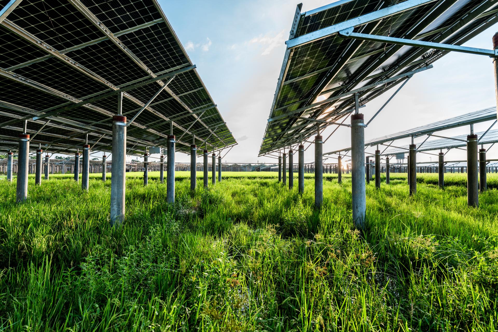 York solar project acquired by Triple Point-managed funds